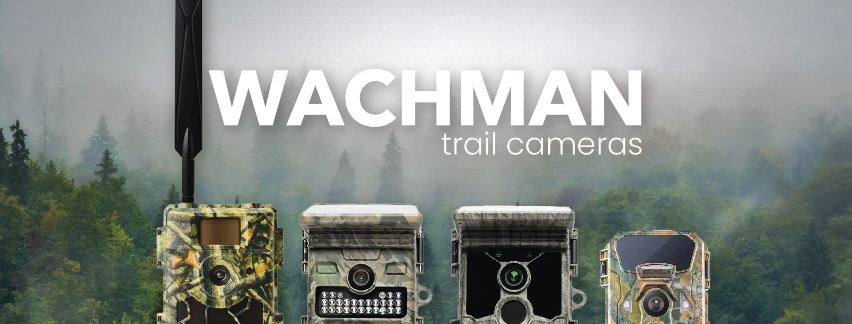 wachman