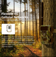 Wachman Discovery 4G